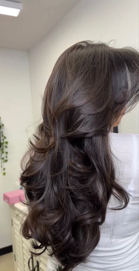 Haircuts For Long Hair With Layers, Hair Inspiration Long, Brown Hair Inspo, Vlasové Trendy, Hairstyles For Layered Hair, Haircuts For Wavy Hair, Long Dark Hair, Blowout Hair, Hair Done