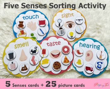 Results for busy bag | TPT Senses Sorting Activity, 5 Senses Preschool, Five Senses Preschool, Independent Play Activities, 5 Senses Activities, Senses Preschool, My Five Senses, Aktiviti Kanak-kanak, Senses Activities