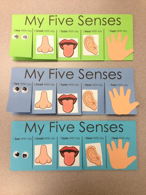 Five Senses Craft - flip book visit www.letsgetreadyforkindergarten.com 5 Senses Preschool, Five Senses Preschool, 5 Senses Activities, Senses Preschool, My Five Senses, Senses Activities, The Five Senses, 5 Senses, Five Senses