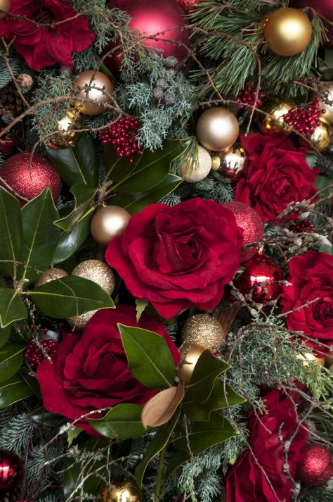 Natal, Roses In Christmas Tree, Christmas Tree With Red Roses, Red Roses Christmas Tree, Roses On Christmas Tree, Red Rose Christmas Tree, Christmas Tree With Roses, Roses Christmas Tree, Christmas Rose Flower