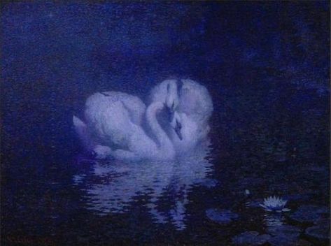 William Robinson, Swan Painting, Mazzy Star, Lake Painting, Lake Art, White Swan, Swan Lake, Black Swan, Wildlife Art