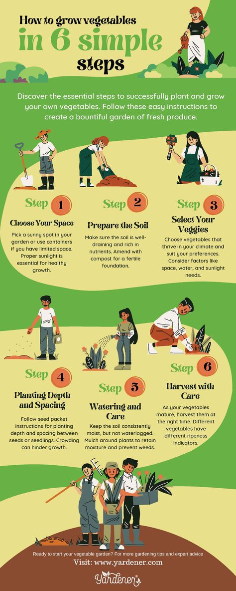 Vegetable gardening, Gardening tips, Growing vegetables, Step-by-step gardening, Home gardening, Vegetable cultivation, Gardening for beginners, Garden Maintenance, Vegetable Infographic, Garden Infographic, Plant Infographic, Gardening Infographic, How To Grow Vegetables, Grow Vegetables, Community Gardening, Grow Your Own