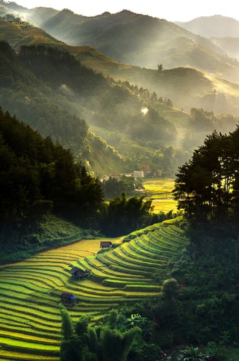 Vietnam Voyage, Matka Natura, Rice Fields, Rice Terraces, Places In The World, Beautiful Places Nature, Alam Yang Indah, Beautiful Places In The World, Vietnam Travel