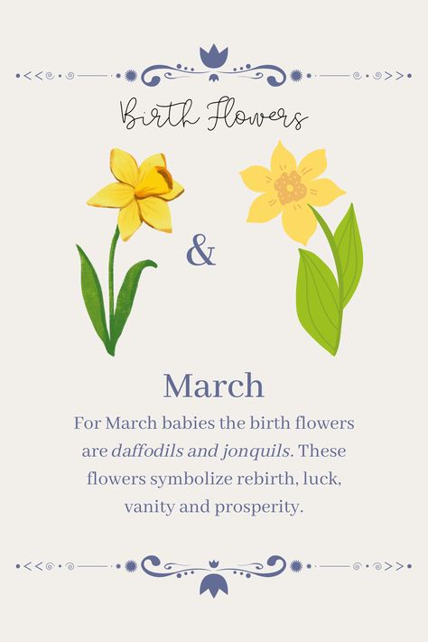 For March babies the birth flowers are daffodils and jonquilsThese flowers symbolize rebirthluckvanityand prosperityjxstmxxn_ Birth Flower For March, March Birth Flower Meaning, March Month Flower, Birth Flower Meanings, Daffodil Symbolism, Jonquils Flower, Birth Flowers March, March Symbols, Daffodil Flower Aesthetic