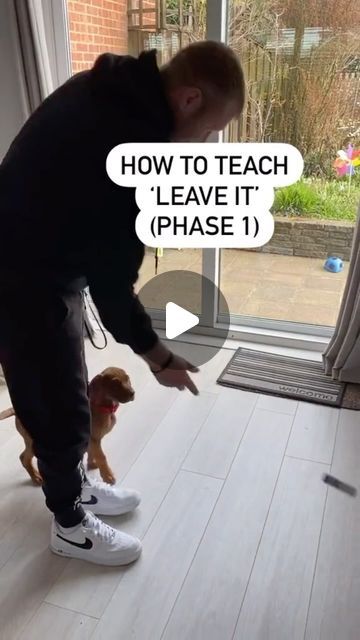 Nature, Dog Training, Dog Training Tips, My Memories, Dog Training Videos, Training Videos, Old Video, Training Video, Puppy Training