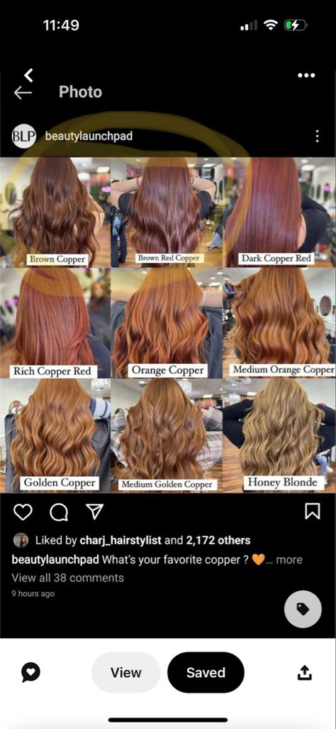 Hair Color Copper Red, Copper Dye On Brown Hair, Ginger Shades Hair Colors, From Brown To Copper Hair, Auburn Honey Hair, Different Types Of Ginger Hair, Shades Of Copper Hair Color Charts, Indian Ginger Hair, Shades Of Ginger Hair Chart