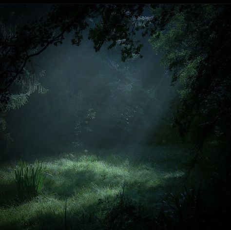 Dark Forest Aesthetics, Dark Forest Core Aesthetic, Twilight Woods Aesthetic, Dark Green Twilight Aesthetic, Misty Green Aesthetic, Dark Misty Forest Aesthetic, Jodiecore Aesthetic, Forest Core Wallpaper, Dark Natural Aesthetic