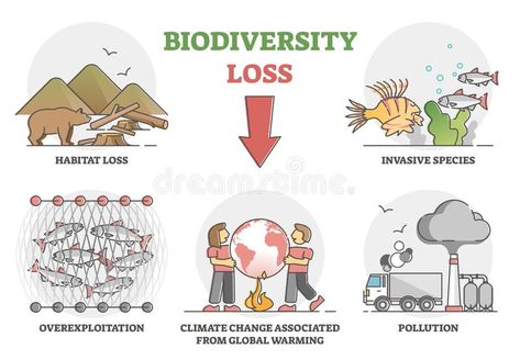 Biodiversity Loss Issues and Causes As Climate Ecosystem Problem Outline Set Stock Vector - Illustration of problem, isolated: 214124583 Habitat Loss Illustration, Biodiversity Loss Illustration, Loss Of Biodiversity, Ecological Landscape, Biodiversity Loss, Species Extinction, English Speech, Biodiversity Conservation, Biology Notes