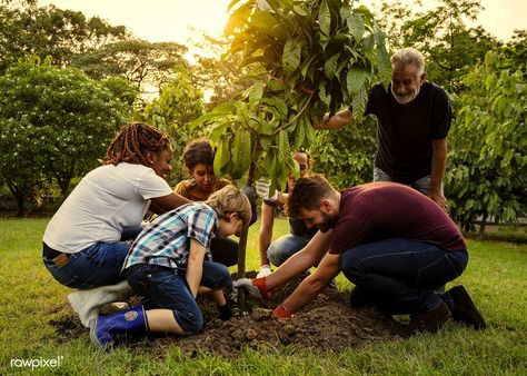 Group of people planting a new tree | free image by rawpixel.com Walking Cartoon, Woodland Illustration, Landscape Nursery, Park Project, Planting Trees, Areas Verdes, Family Weekend, Plant A Tree, Photo Grouping