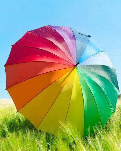 Rainbow umbrella Kristina Webb, Umbrella Art, Under My Umbrella, Rainbow Bright, Umbrellas Parasols, Taste The Rainbow, Love Rainbow, Color Spectrum, Over The Rainbow