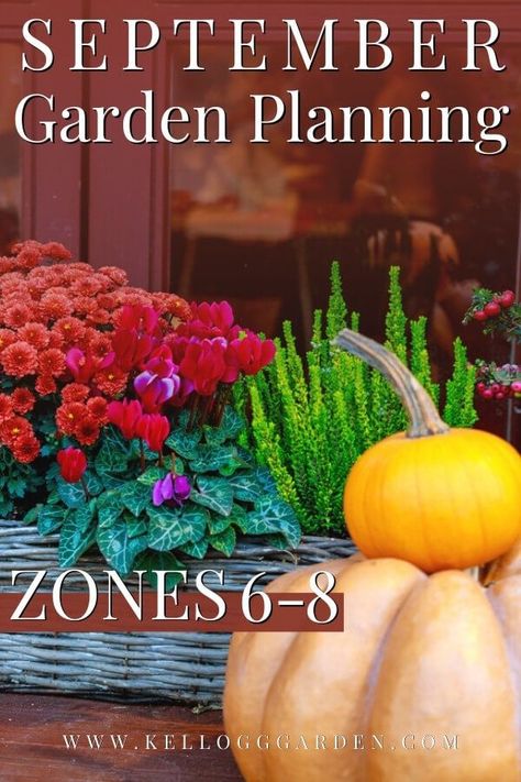 What Can You Plant In September, Zone 6 Winter Garden, Fall Planting Flowers Zone 7, Zone 8 September Planting, Fall Flowers To Plant In September, Zone 6 Fall Planting, Fall Garden Zone 6, Fall Vegetable Gardening Zone 8, Zone 8 Fall Planting