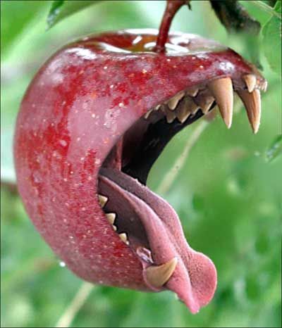 They had warned her that fruit was dangerous. _________ had taken no notice of them. Suddenly the apples began to smirk, then laugh. ________ felt a great sense of unease.  Continue writing the story. (Upper KS2 due to image) Trucage Photo, Sztuka Science Fiction, Photo Writing Prompts, Writing Pictures, Picture Writing Prompts, Bad Apple, Picture Prompts, Story Starters, Story Prompts