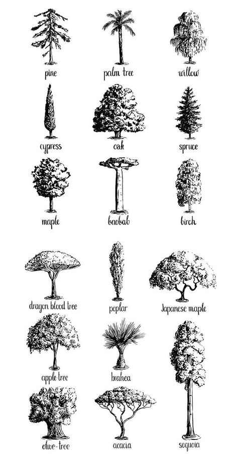 Trees Art Drawing, Trees Drawing Tutorial, Forest Sketch, Plant Sketches, Tree Drawings Pencil, Tree Doodle, Forest Drawing, Drawing Hands, Nature Sketch