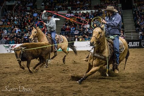 Team Roping | Cowboys working in tandem to rope this steer. … | Flickr Roping Photography, Roping Horse, Working Cow Horse, Team Roper, Cowboy Photography, Saddle Bronc, Calf Roping, Roping Saddles, Bronc Riding