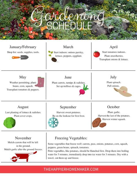 Free printable Garden Schedule to help you plan your gardening tasks throughout the year. #gardening Plan Your Garden Layout, Zone 7 Garden Plan, Family Vegetable Garden, Covered Patio Garden Ideas, First Garden Ideas, Chicago Garden Ideas, First Time Vegetable Garden, First Time Garden Tips, Plant Spacing Guide Vegetable Garden