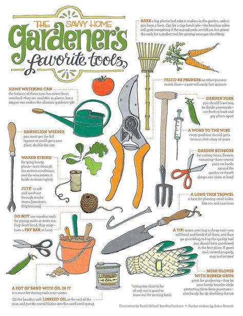 Gardner Tools Gardening Infographic, Cockle Shells, Idaho Springs, Garden Illustration, Info Graphics, Backyard Gardening, Garden Tool Storage, Garden Idea, Gardening 101