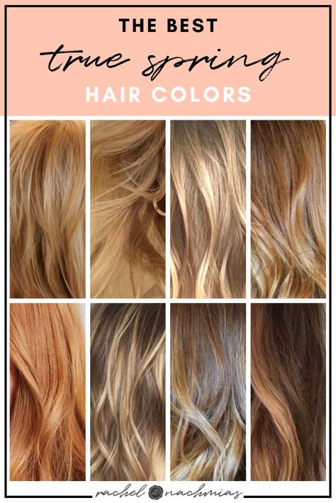 Best Hair Colors For Spring Skin Tone, Best Hair Color For True Spring, Color Analysis True Spring, House Of Colour Spring Hair, Spring Color Analysis Hair, Hoc Spring Hair Color, Hoc Spring Makeup, Best Hair Color For Bright Spring, Spring Color Palette Hair Colors