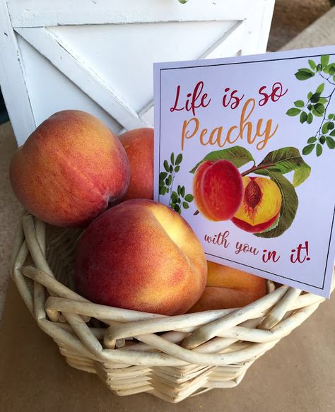 June Friendship Tags. Peach Gift Basket Ideas, Secret Sisters Ideas For Church, Ministering Handouts, Visiting Teaching Gifts, Teaching Gifts, Ministering Ideas, Gifts For 18th Birthday, Peach Festival, Secret Sister Gifts