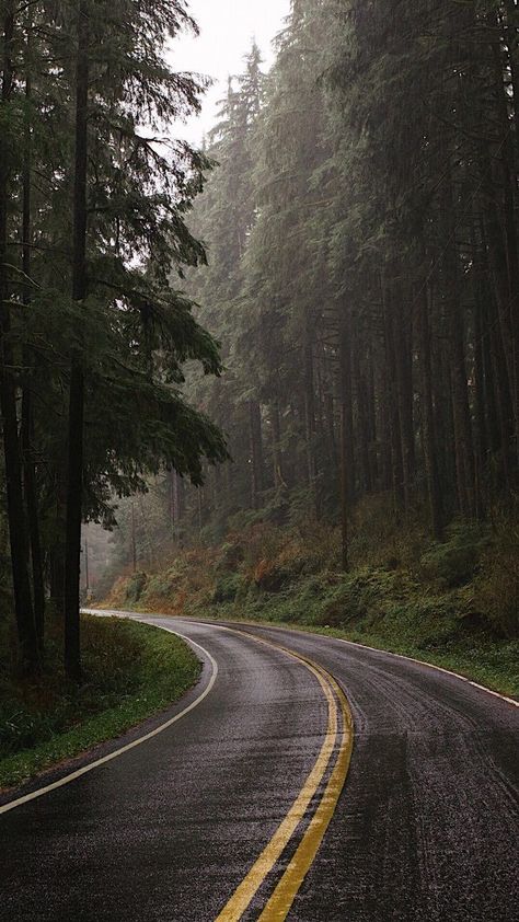 Muka Lelaki, Dark Naturalism, Dark Forest Aesthetic, Rainy Day Aesthetic, Belle Nature, Dark Nature Aesthetic, Image Nature, Buku Skrap, Pretty Landscapes