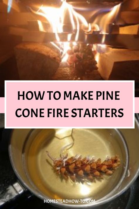 Pine cone fire starters are easy to make using beeswax and a braided candle wick. They can help to get a fire started within minutes and also make a great gift! Pinecone Firestarters, Pine Cone Fire Starters, Homestead Planning, Firestarters Diy, Best Fire Starter, Homemade Fire Starters, Pinecone Fire Starters, Pine Cone Christmas Decorations, Fire Starters Diy