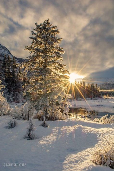 Winter Sunrise, Snow Photography, Snow Covered Trees, Image Nature, Scenery Pictures, Winter Sunset, Winter Love, Winter Magic, Winter Scenery