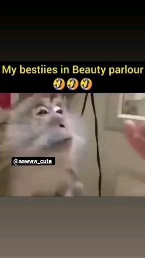 Funny Jokes About Friends, Jokes On Best Friend, Humour, Best Frnd Wallpapers, 9 Best Friends Pictures, Funny Videos Of Best Friends, Tag Your Best Friend Funny Video, Funny Videos Of Friends, Funny Jokes For Best Friends