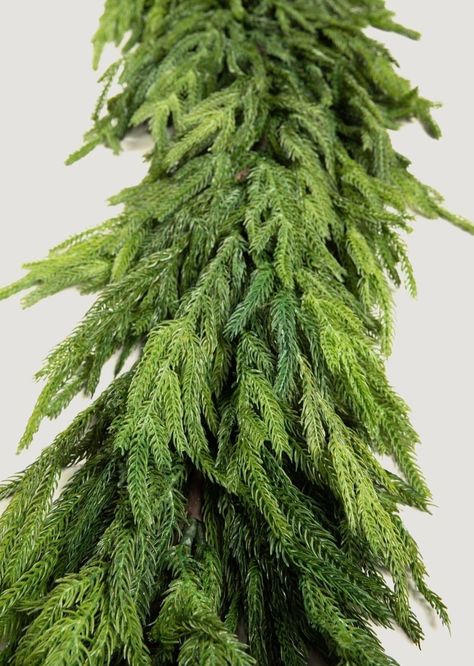 Norfolk Pine Garland, Staircase Banister, Hanging Plants Outdoor, Norfolk Pine, Winter Greenery, Pine Garland, Christmas Dinner Party, Artificial Plants Outdoor, Artificial Greenery