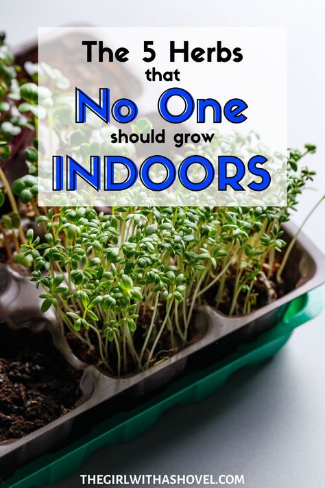 Portable Herb Garden, Indoor Garden Planter Ideas, Herbs In The Kitchen Ideas, Pots For Herbs Indoors, Starting An Herb Garden Indoors, Indoor Herb Garden Shelf, Indoor Herb Wall Kitchens, Growing Medicinal Herbs Indoors, Growing Herbs Inside During Winter