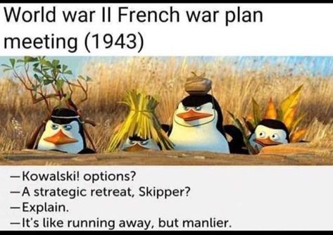 Military Jokes, Historical Humor, History Jokes, Country Memes, History Nerd, Hilarious Photos, Military Humor, History Humor, History Memes