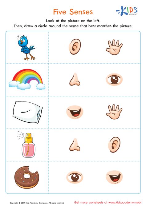 Senses Worksheets Kindergarten, 5 Senses Worksheets Preschool, 5 Senses Stations Preschool, Worksheet 5 Senses, 5 Senses Worksheet Kindergarten, Five Senses Worksheet Kindergarten, 5 Senses Activity For Preschoolers, Playschool Worksheets, My Senses Worksheets