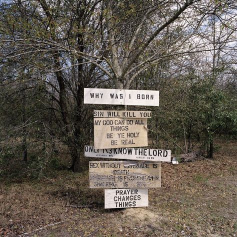 Trees, Why Was I Born, A Sign, On The Side, In The Middle, The Middle, Forest, Signs, Road