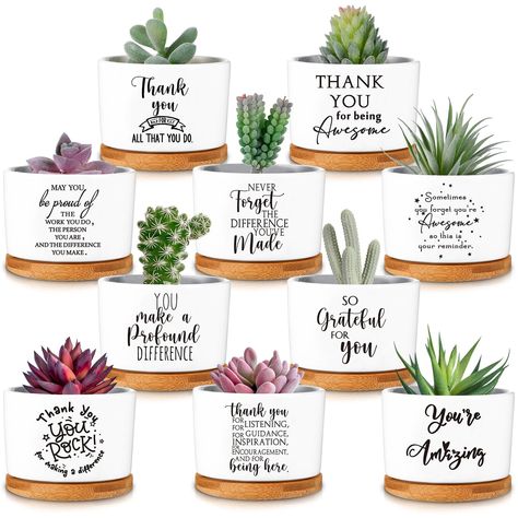 Thank You Plant, Dsp Week, Leadership Retreat, Cheese Sauces, Staff Ideas, Volunteer Appreciation Gifts, Grow Succulents, Bulk Gifts, Staff Appreciation Gifts