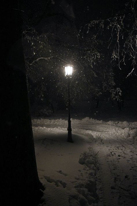 dark winter snow aesthetic. Dark christmas. Snow storm snow in city lamp post Snow Aesthetic Dark, Winter Snow Aesthetic, Snow Aesthetic, Snow Forest, Snow Pictures, Dark Christmas, Night Scenery, Deep Winter, Dark Winter