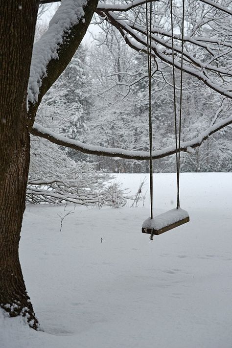 A lonely swing in the Winter. Ipswich, MA. Available in 4x6 5x7 8x10 8x12 11x14 12x18 16x20 16x24 Winter Farm, Nostalgic Memories, Snow Photography, Farm Ranch, Snow Art, I Love Winter, Winter Love, Winter Print, Winter Wallpaper