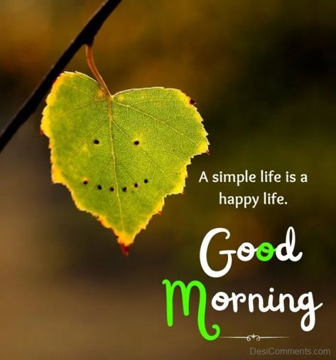 4090+ Good Morning Images, Pictures, Photos - Page 2 सुप्रभात संदेश, Good Morning Sun, Pic Quotes, Love Good Morning Quotes, Beautiful Saturday, Live And Let Live, Good Morning Sunshine Quotes, Morning Quotes Images, Good Morning Images Hd