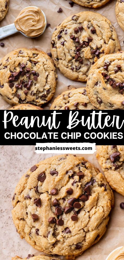 These super chewy peanut butter chocolate chip cookies are the best peanut butter cookies. Essen, Peanut Butter Cookies With Choc Chips, Chewy Peanut Butter Chocolate Chip Cookies, The Best Peanut Butter Cookies, Chocolate Chip Peanut Butter Cookies, Cookie Recipes Easy, Peanut Butter Dessert Recipes, Soft Peanut Butter Cookies, Best Peanut Butter Cookies