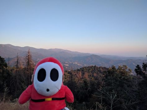 Shy Guy exploring the Sequoia National Park.  #shyguy #supermario #nintendo #nintendoswitch #supermariobrothers #supermariobros #plush #gaming #mario #roadtrip #california #sequoianationalpark Shy Guy Pfp Mario, Shy Guy Nintendo, Shy Guy Wallpaper, Shy Guy Fanart, Shy Guy Pfp, Shy Guy Mario, Best Friends Sister, Shy Guy, Nintendo Characters