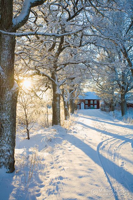 winter wonderland Winter Road, God Jul, Winter Love, Winter Sun, Winter Magic, Winter Scenery, Snow Scenes, Winter Beauty, Sleigh Ride