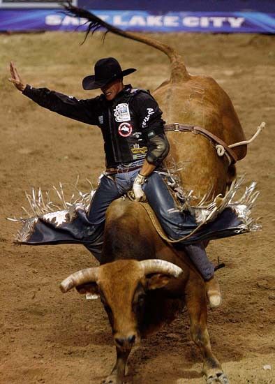 Pbr Bull Riders, Pbr Bull Riding, Bucking Bulls, Bronc Riding, Professional Bull Riders, Rodeo Time, Rodeo Events, Rodeo Cowboys, Cowboy Pictures