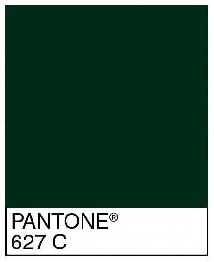 Vert Pantone, Forest Green Paint Color, Pantone Verde, Pantone Green, Pantone Colour Palettes, Dark Green Aesthetic, Green Palette, Green Paint Colors, Forest Green Color