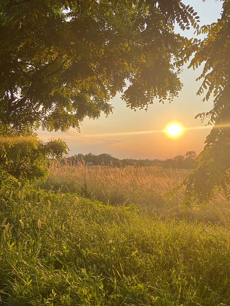 sunny golden hour sunshine aesthetic trees medow ray sunbeam golden summer evening Apollo's Cabin, Apollo Cabin, Cabin Aesthetic, Sun Aesthetic, Pretty Landscapes, Images Esthétiques, Eternal Sunshine, Nature Aesthetic, Thoughts And Feelings