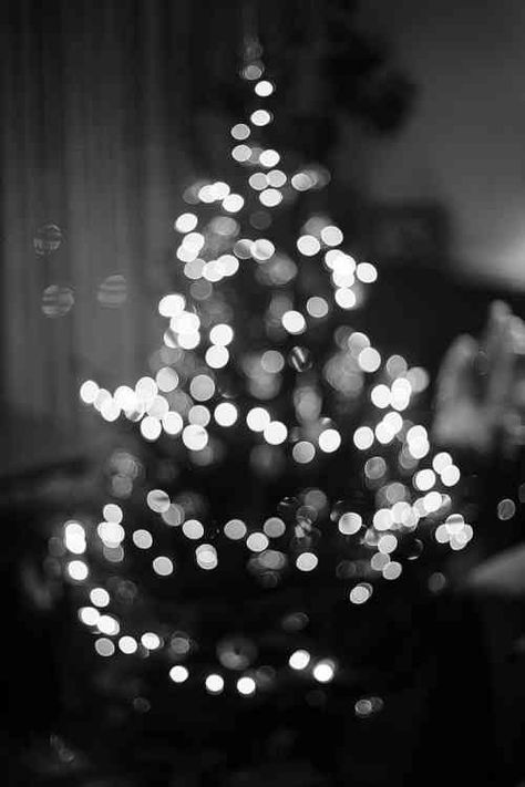 Natal, White Christmas Aesthetic, White Christmas Tree Lights, Black White Christmas Tree, White Christmas Background, Christmas Tree Wallpaper, Black White Christmas, Black And White Photo Wall, Xmas Wallpaper