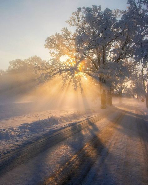 Nature, Sweden Aesthetic, Winter Landscape Photography, Winter Sunrise, Beach At Night, Winter Morning, Winter Sunset, Morning Sunrise, Winter Mornings