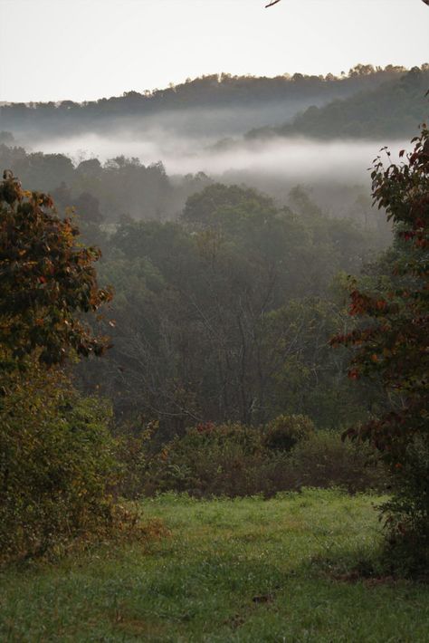 Nature, Foggy Appalachian Mountains, Holler Aesthetic, Appalachian Cottagecore, Dark Appalachian Aesthetic, Gothic Appalachia, Appalachian Mountains Aesthetic, Appalachian Gothic Aesthetic, Dark Appalachia