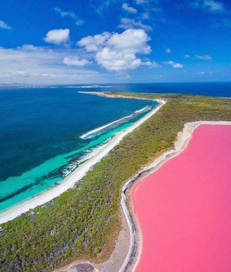 Lake Hillier Australia, Pink Lake Western Australia, Lake Hillier, Lac Rose, Great Barrier Reef Australia, Western Australia Travel, Australian Road Trip, Australia Vacation, Pink Lake