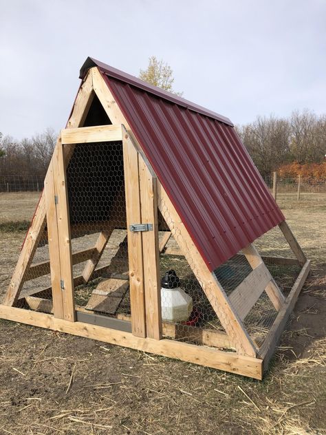 A Frame Pallet Chicken Coop, A Frame Chicken Coop Ideas, Diy Chicken Coupe Easy, Skid Chicken Coop, A Frame Quail Coop, Single Chicken Coop, Easy A Frame Chicken Coop, Chicken Coop Made From Old Swing Set, Turkey Coop Diy