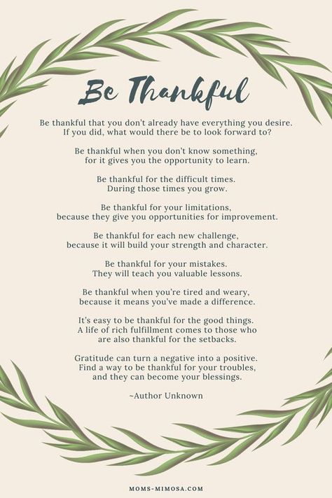 Nature, Thankful Poems, Gratitude Poems, Gratitude Quotes Thankful, Inspriational Quotes, Thanksgiving Poems, Ig Quotes, Grateful Quotes, Meditation Scripts