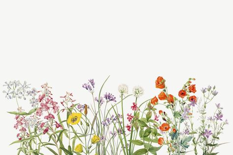 Simple Banner Background, Flower Background Wallpaper Landscape, Flower Landscape Wallpaper, Floral Cover Photo, Flower Background Landscape, Flower Vintage Illustration, Website Background Design, Flower Header, Wildflower Invitation