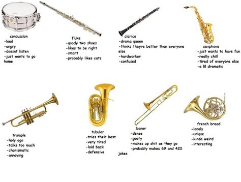 Tumblr, Humour, Band Jokes Flute, Flute Memes Funny, Flute Jokes, Flute Quotes, Flute Memes, Funny Band Jokes, Band Puns