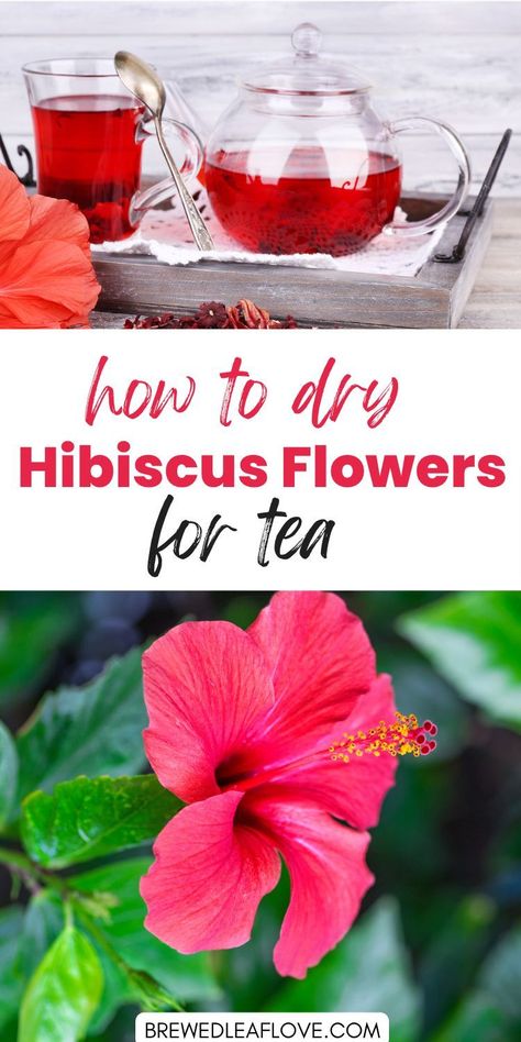 How To Dry Out Flowers, Flowers For Tea, Hibiscus Tea Benefits, Hibiscus Flower Tea, Herbal Tea Garden, Hibiscus Leaves, Dried Hibiscus Flowers, Healthy Tea, Flowers To Make